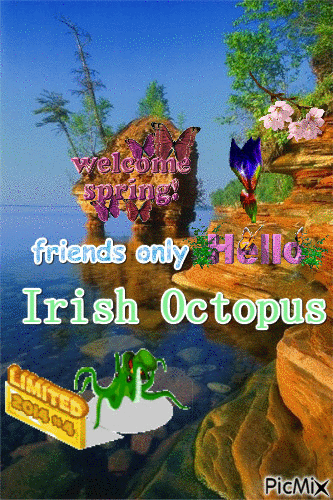 octopus - Ingyenes animált GIF