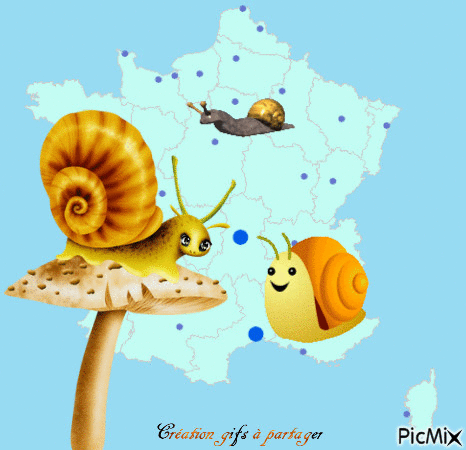 17 novembre France au ralenti - Bezmaksas animēts GIF