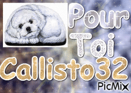 Pour toi Callisto32 - 無料のアニメーション GIF