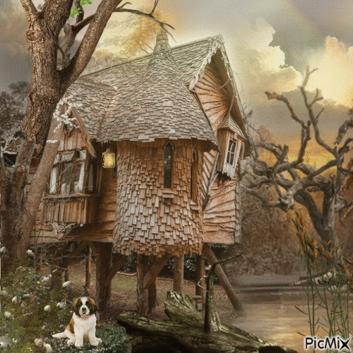 Ein außergewöhnliches Baumhaus - Darmowy animowany GIF