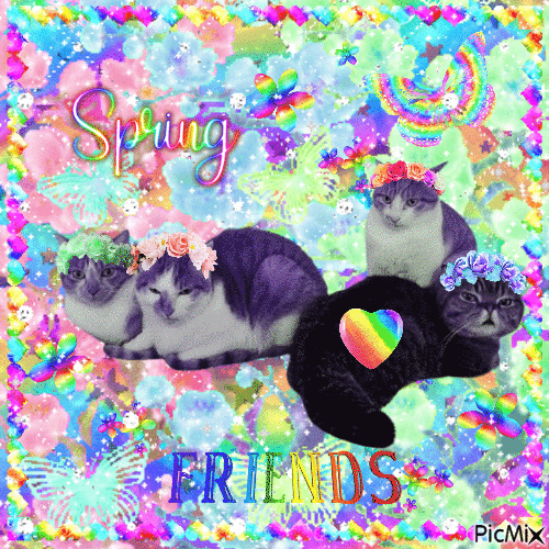 Rainbow Spring Kitties - GIF animado gratis