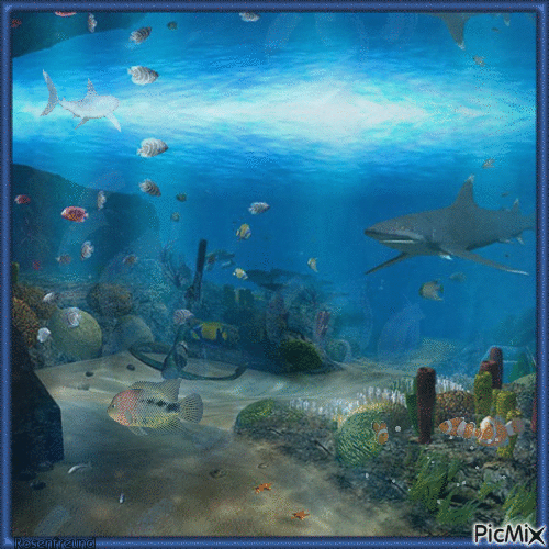 Underwater - Nemokamas animacinis gif