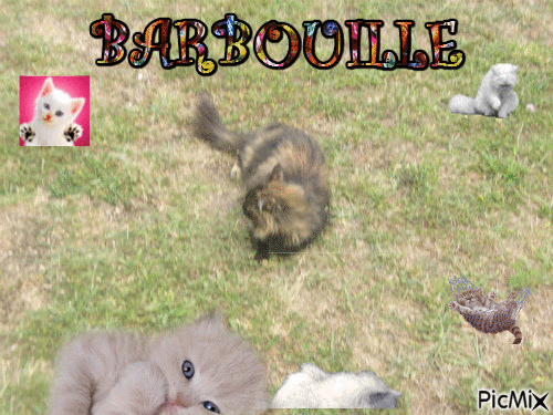 BARBOUILLE - Free animated GIF