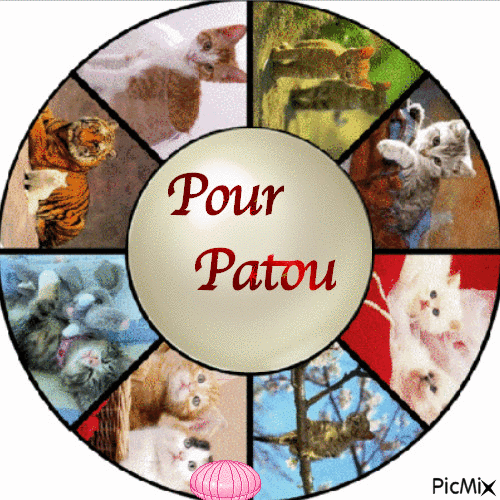 pour Patou - Animovaný GIF zadarmo