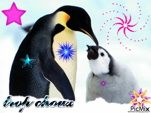 pingouins - GIF animado grátis