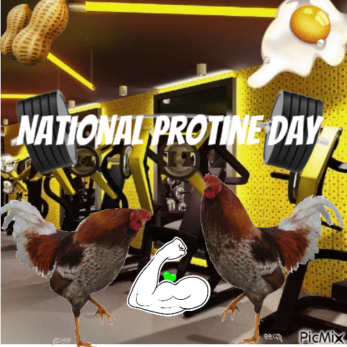 National Protine Day - GIF animado gratis