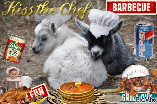 Goats who love cooking - GIF animé gratuit