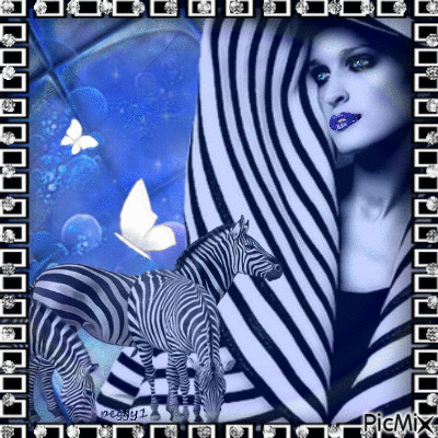 zebra blue - Free animated GIF