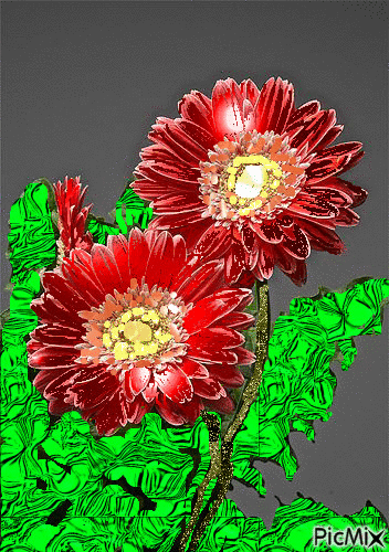 kvety - GIF animé gratuit