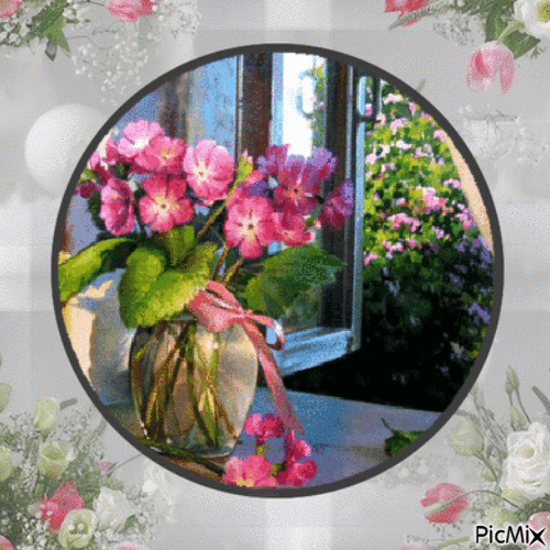 Flowers in a Window - GIF animado grátis