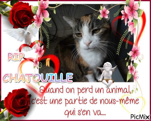 RIP CHATOUILLE - png grátis