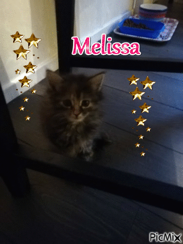 Melissa 9 veckor  28 dec 2019 - Бесплатный анимированный гифка