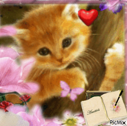 Mon Amour de chat - Nemokamas animacinis gif