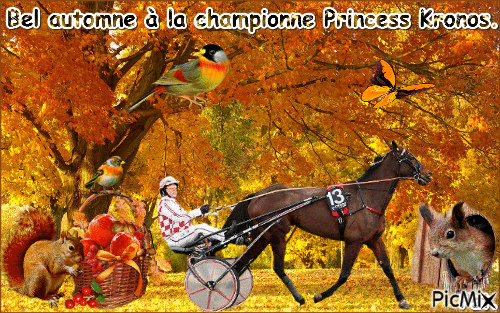 La championne Princess Kronos. - Bezmaksas animēts GIF