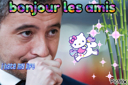 Darmanin bonjour les amis - Бесплатный анимированный гифка