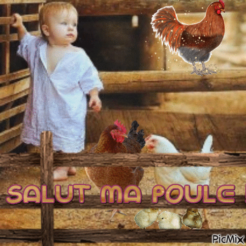 Salut Bonjour - Bezmaksas animēts GIF