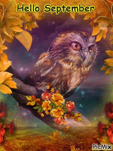 OWL SEPTEMBER - GIF เคลื่อนไหวฟรี