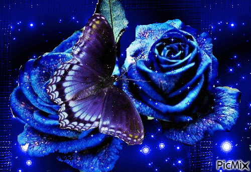trandafir albastru - Zdarma animovaný GIF