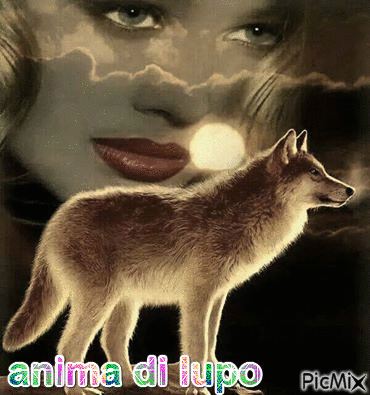 anima di lupo - GIF animado grátis