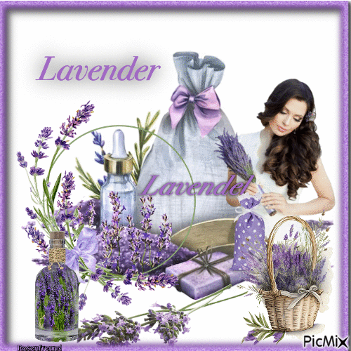 Lavendel - Zdarma animovaný GIF