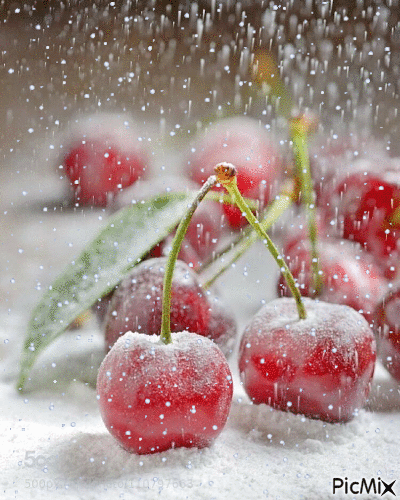 cherry snow - GIF animasi gratis