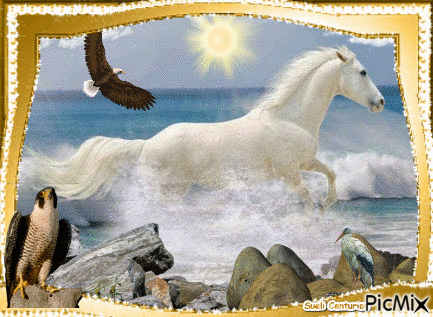 Cavalo Branco - GIF animasi gratis