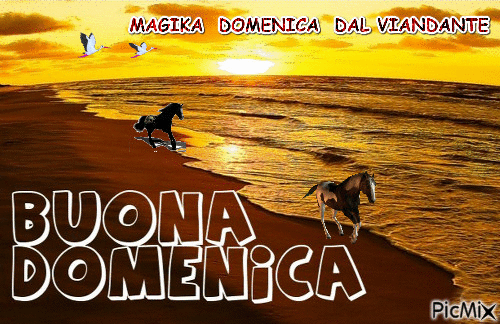 DOMENICA - Бесплатный анимированный гифка
