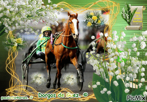 Le champion Dorgos de Guez. © - GIF animado grátis