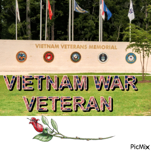 Vietnam veteran - Безплатен анимиран GIF