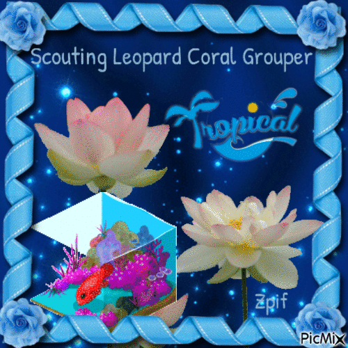 Scouting leopard coral grouper - Bezmaksas animēts GIF