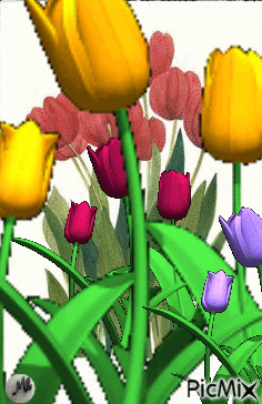 Tulipanes - GIF animado gratis