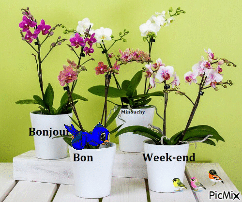 Bon week-end - 無料のアニメーション GIF