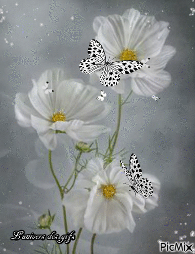 fleur udg - Nemokamas animacinis gif