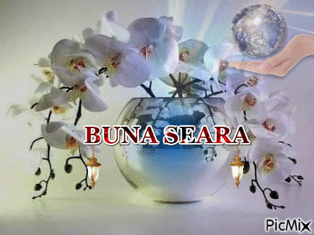 BUNA SEARA - Free animated GIF