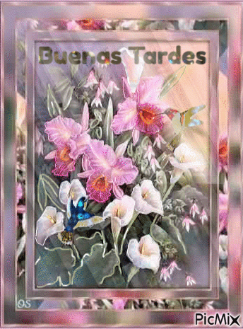 Calas y Orquídeas - Δωρεάν κινούμενο GIF