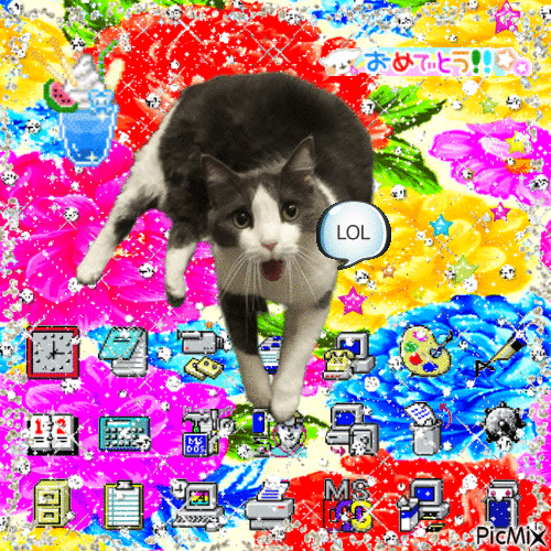 LOL cat - Безплатен анимиран GIF