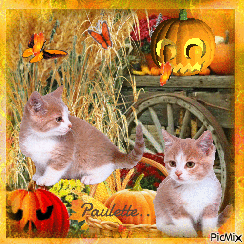 nos animaux en automne - Free animated GIF
