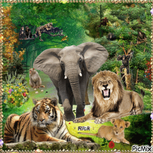 Jungle Fever 4-5-23 xRick7701x - Animovaný GIF zadarmo