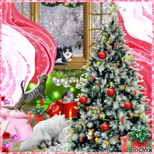 Cats, Christmas - Бесплатный анимированный гифка