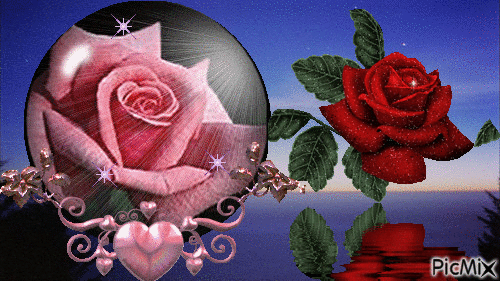 rosas - 無料のアニメーション GIF