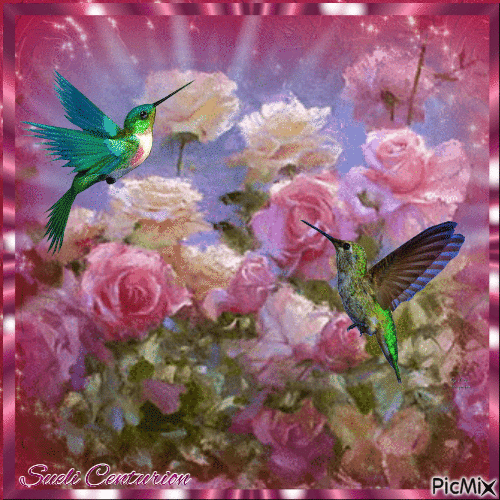 Rosas e  Pássaros - GIF animado gratis