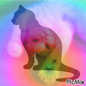 Rainbow Cat - Gratis animeret GIF