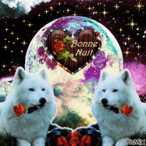 Bonne nuit couple de loups blancs - Бесплатный анимированный гифка