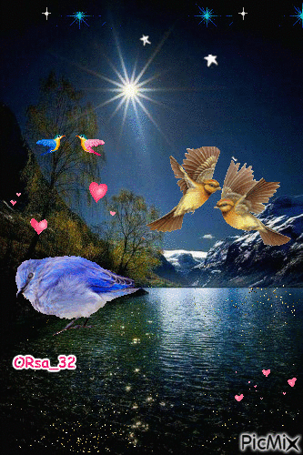 kuşlar ve gece - Ingyenes animált GIF