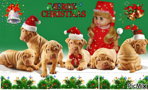 MY DOGS AT CHRISTMAS - Безплатен анимиран GIF