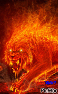 fire tiger - Бесплатный анимированный гифка
