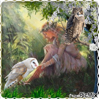 Fantasy owl - kostenlos png