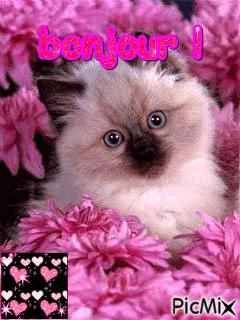 Bisous..... - Free animated GIF