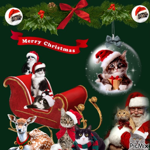 Christmas Kitties - Free PNG