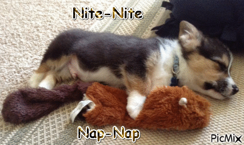 Nap Time - Besplatni animirani GIF
